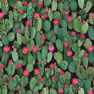 cactus wallpaper iphone