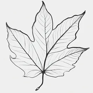 black and white leaf clip art