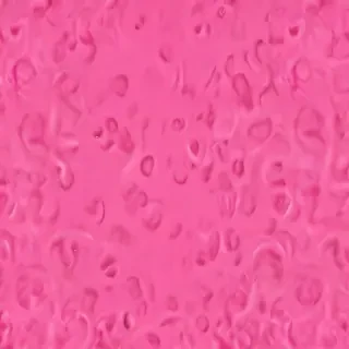 hot pink aesthetic wallpaper