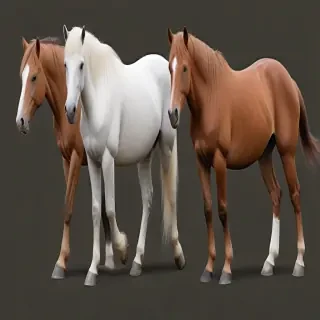 horses png