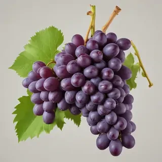 grape png