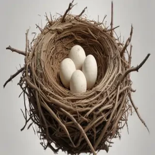 birds nest png