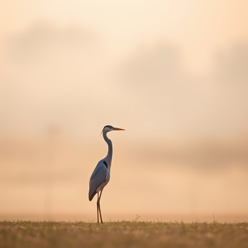 A serene scene featuring a heron standing alone in a misty landscape with soft, diffused lighting, captured using a DSLR camera, 85mm lens, f/2.8 aperture, 1/250 second shutter speed, ISO 200, with a shallow depth of field to blur the background and enhance the subject's details.