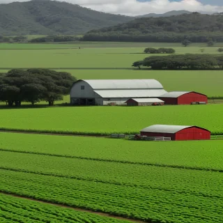 farm png