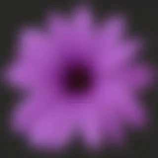 purple flower png