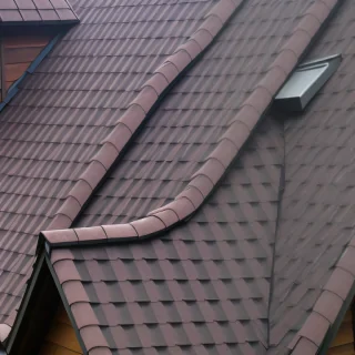 pictures of shingles