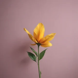 minimal wallpaper iphone