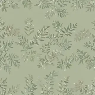 sage green bg
