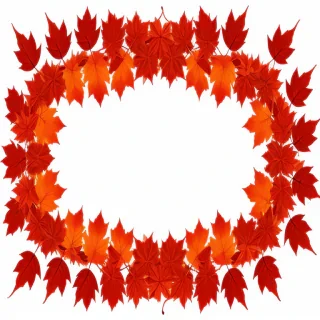 fall leaves png transparent