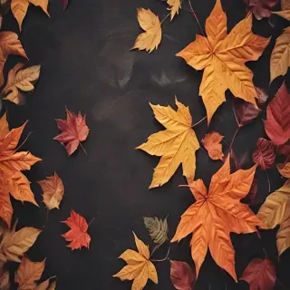 fall wallpapers iphone