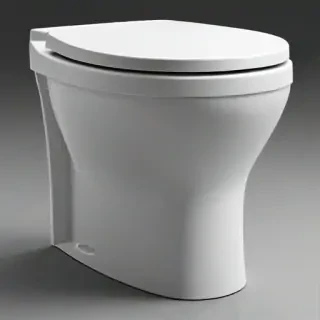 toilet png