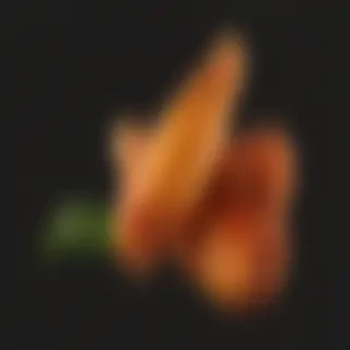 chicken wing png