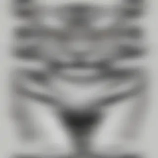 tiger clipart black and white