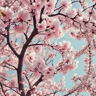 aesthetic wallpaper spring