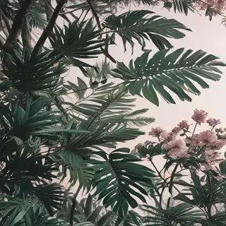 fondos aesthetic