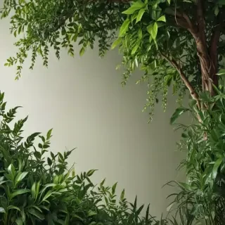 plants background