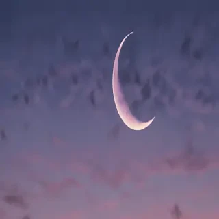 aesthetic crescent moon