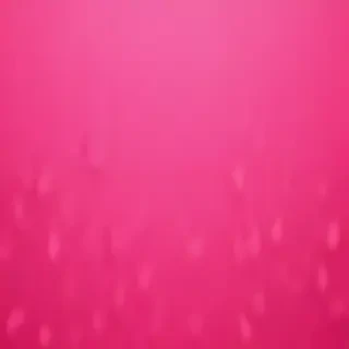 hot pink background