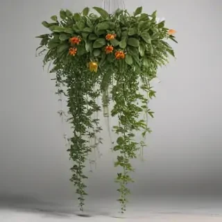 hanging plants png