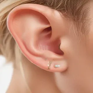 ear png