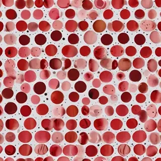 dots png