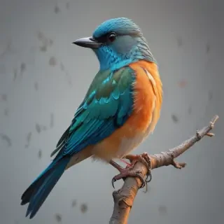 bird transparent