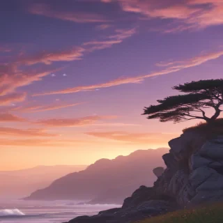 soft backgrounds