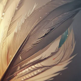 feather design