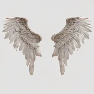 wings transparent background