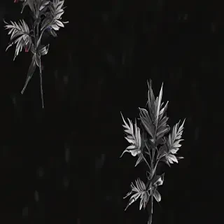 black aesthetic iphone wallpaper