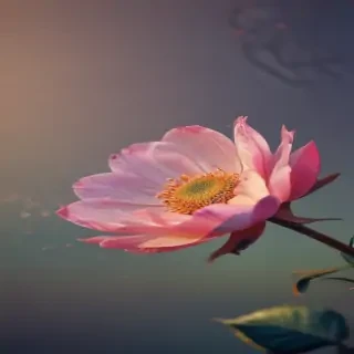 iphone cute wallpaper hd