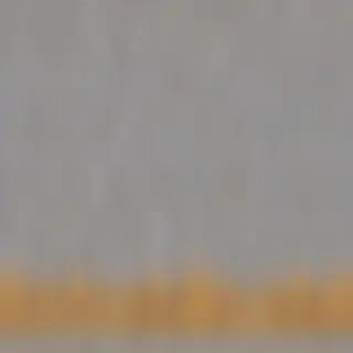 transparent background gold border