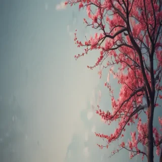 simple wallpapers aesthetic