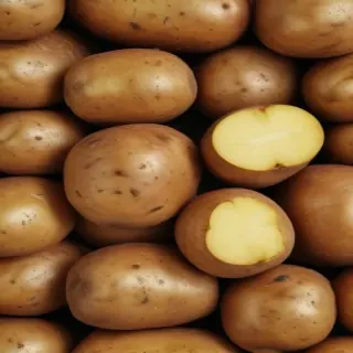 potato png
