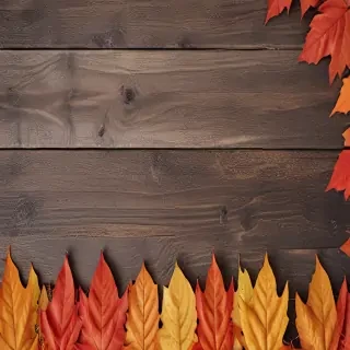 fall iphone wallpaper