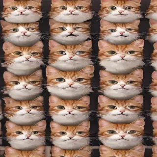 cat backrounds