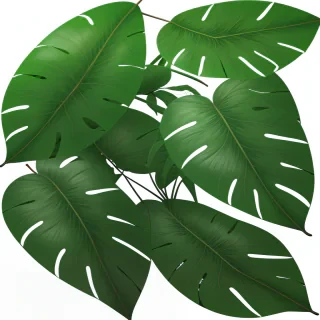 transparent tropical leaves png