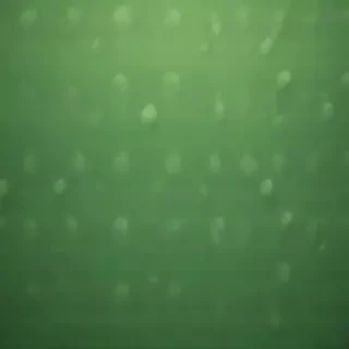 iphone wallpaper green