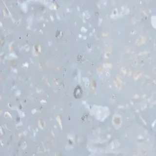 snow transparent