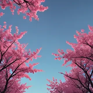 aesthetic backgrounds iphone