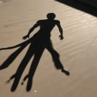 shadow transparent