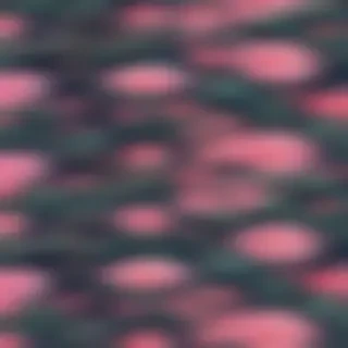 beautiful wallpaper