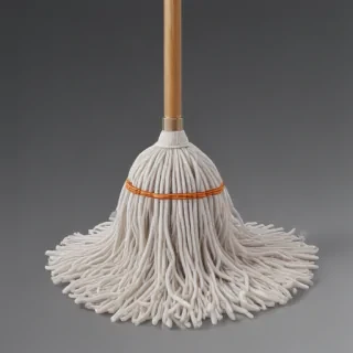 mop png