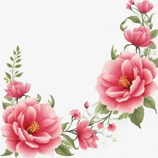 flower transparent border
