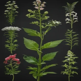 weeds png