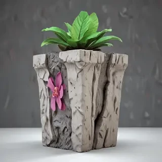 3d images