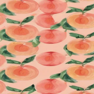 peach color background