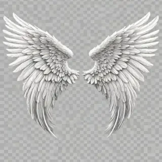 angel wings transparent background