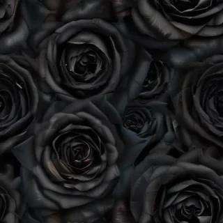 black roses background