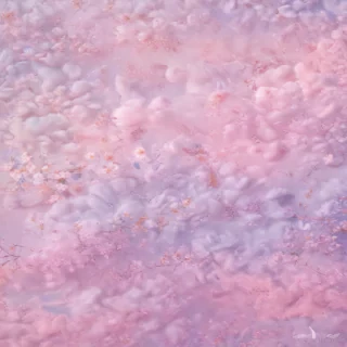 cute plain backgrounds